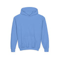 Youth 67 Heavy Blend Hooded Sweatshirt